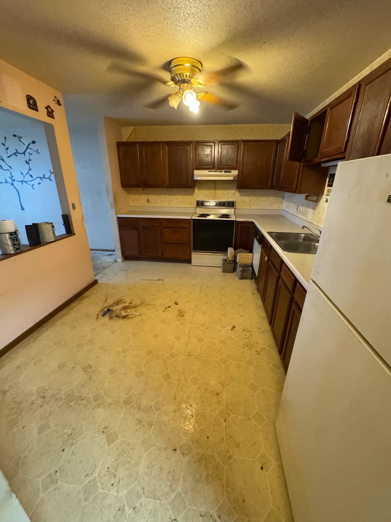 Kitchen contents cleanout — after