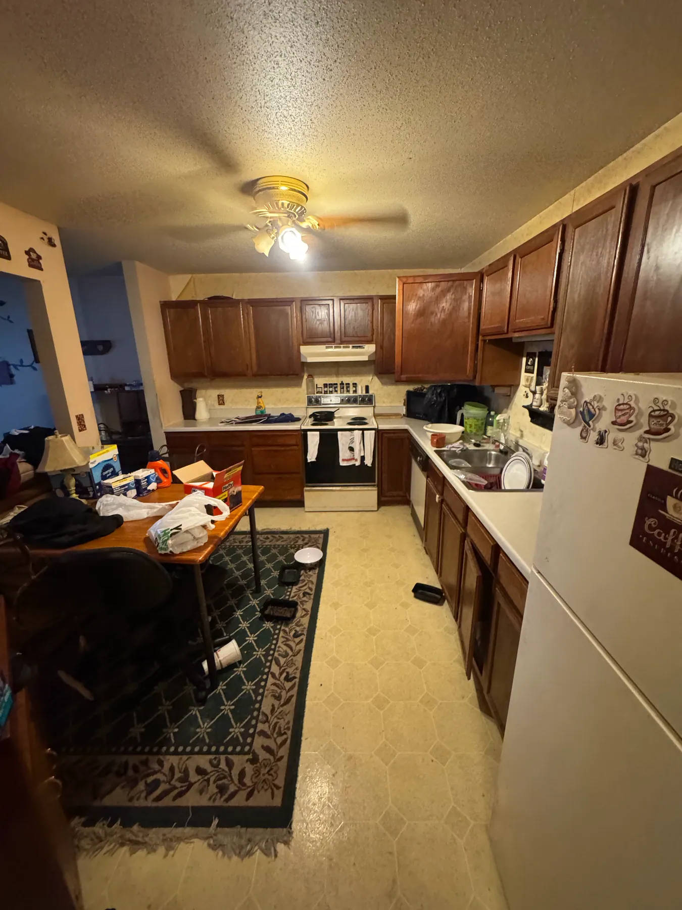 Kitchen contents cleanout — before