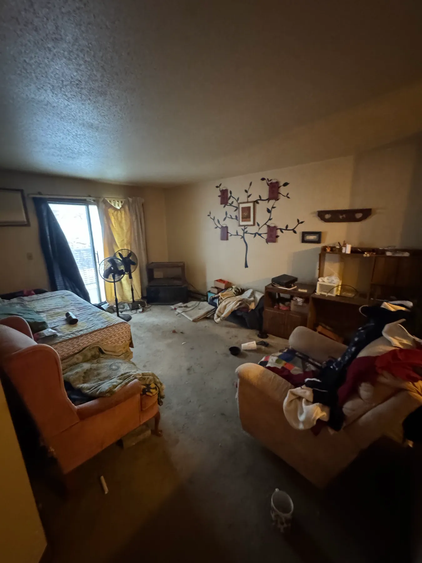 Apartment living room cleanout — before