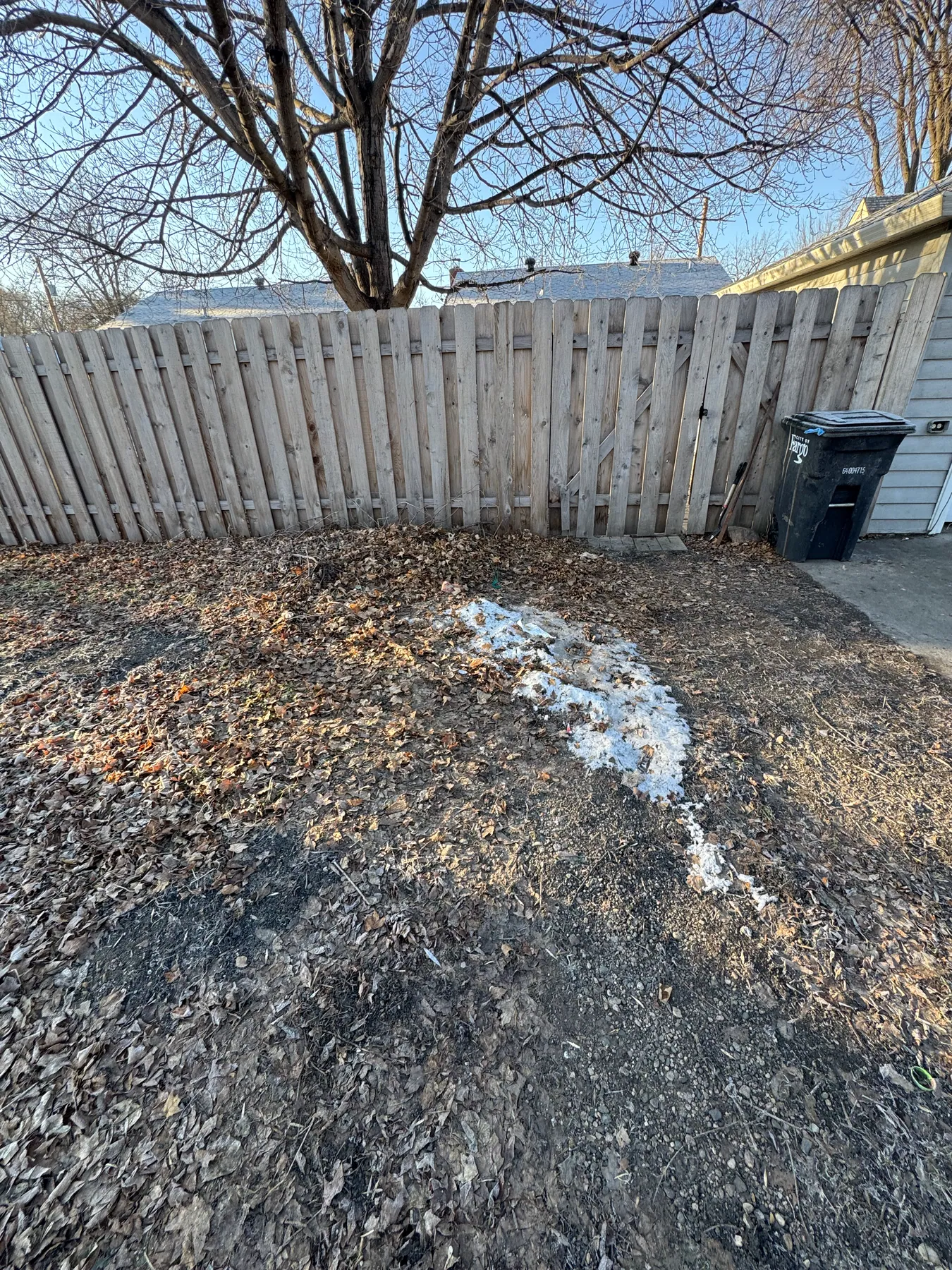 Backyard debris pickup — after