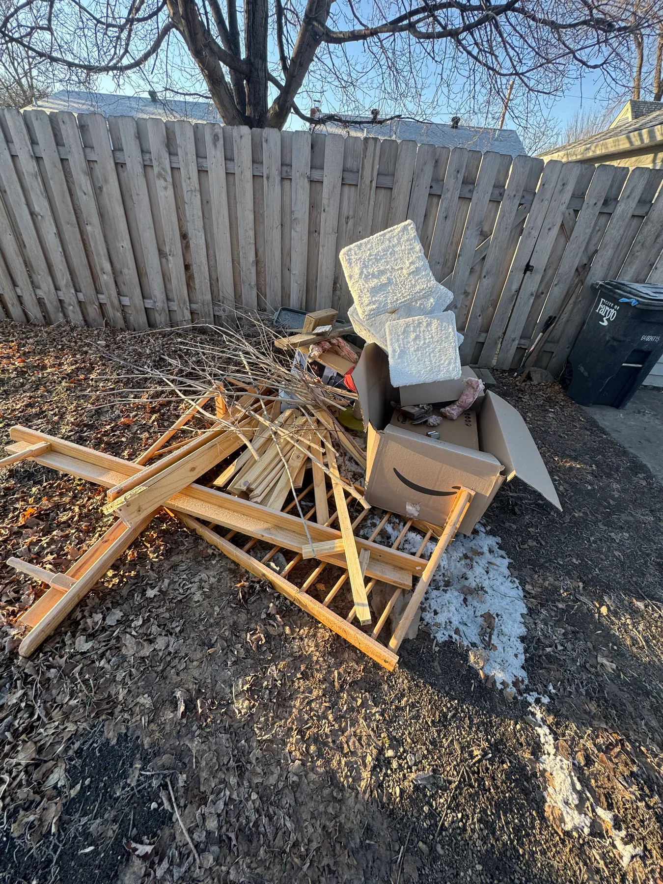 Backyard debris pickup — before