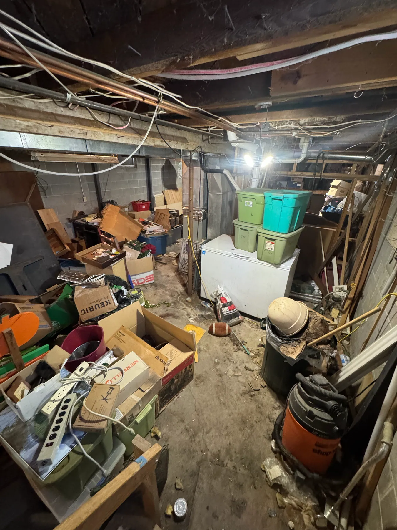 Basement cleanout — before