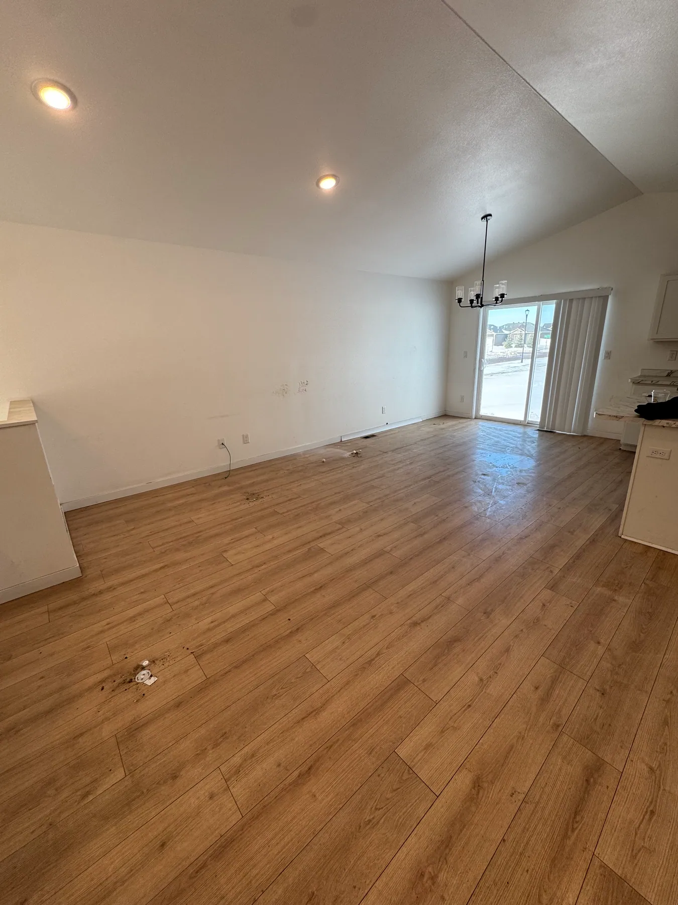 Living and dining room cleanout — after