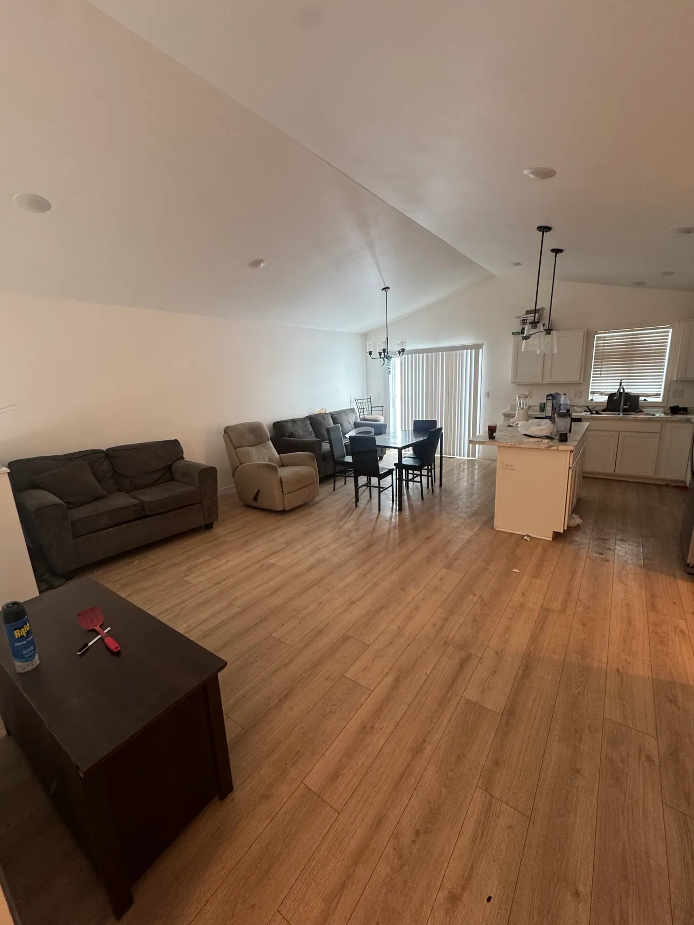 Living and dining room cleanout — before