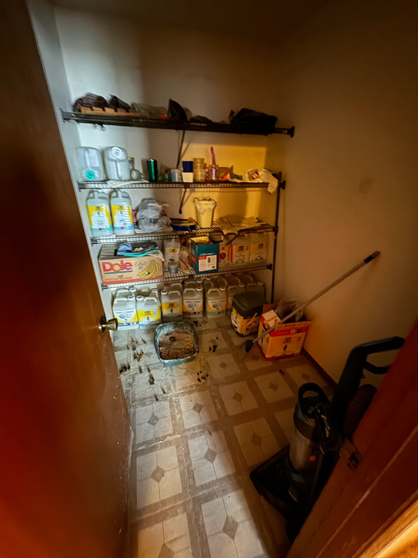 Pantry cleanout — before
