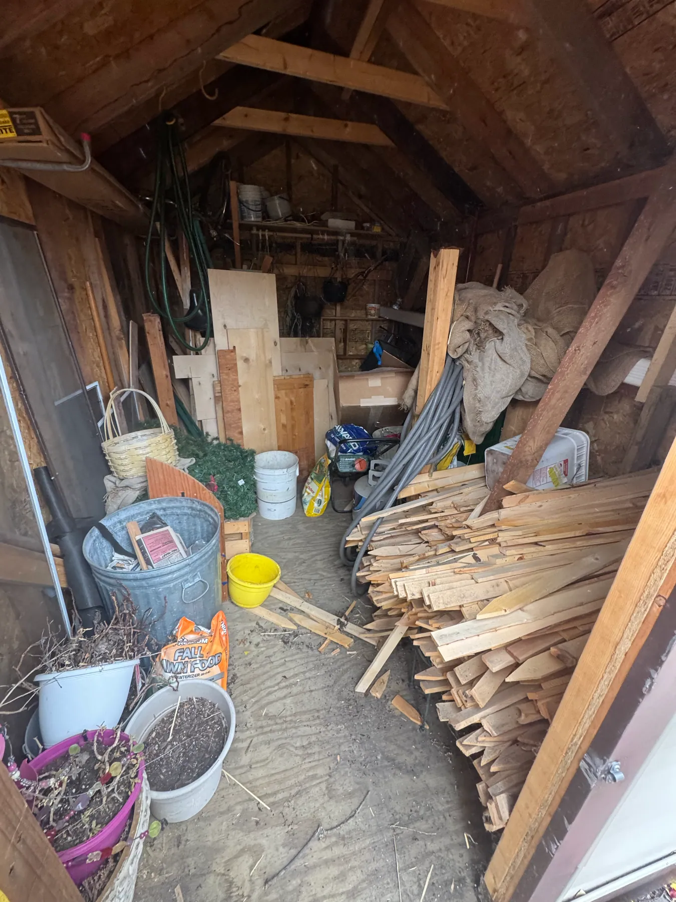 Shed timber cleanout — before